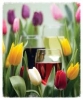 Spring Fever Winery Tour