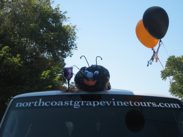 NGT at the Woollybear Parade